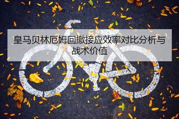 huang-ma-bei-lin-e-mu-hui-che-jie-ying-xiao-lv-dui-bi-fen-xi-yu-zhan-shu-jia-zhi-2-841.jpg